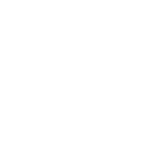 Experiência Comprovada